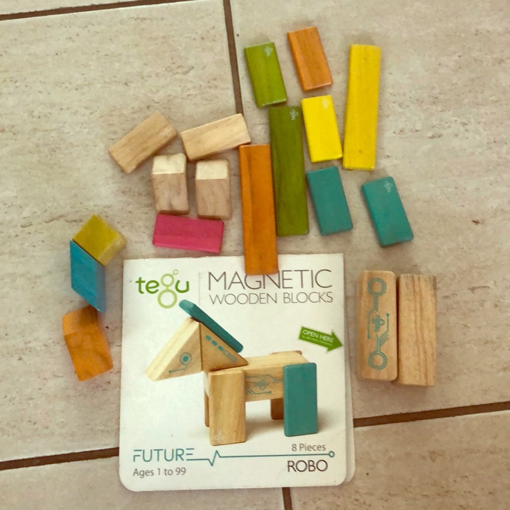 Tegu wooden magnets
